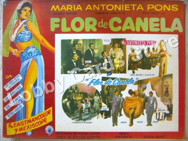 MA.ANTONIETA PONS/FLOR DE CANELA